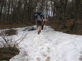 Wiosna (?) w Bieszczadach - kliknij by zobaczyć powiększenie